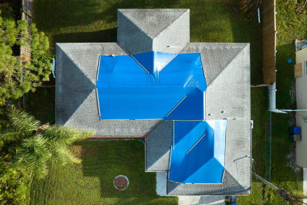 Best Skylight Installation and Repair  in Vine Grove, KY