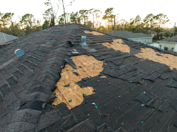 Best 4 Ply Roofing  in Vine Grove, KY