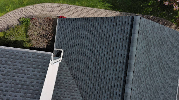 Best Roof Moss and Algae Removal  in Vine Grove, KY